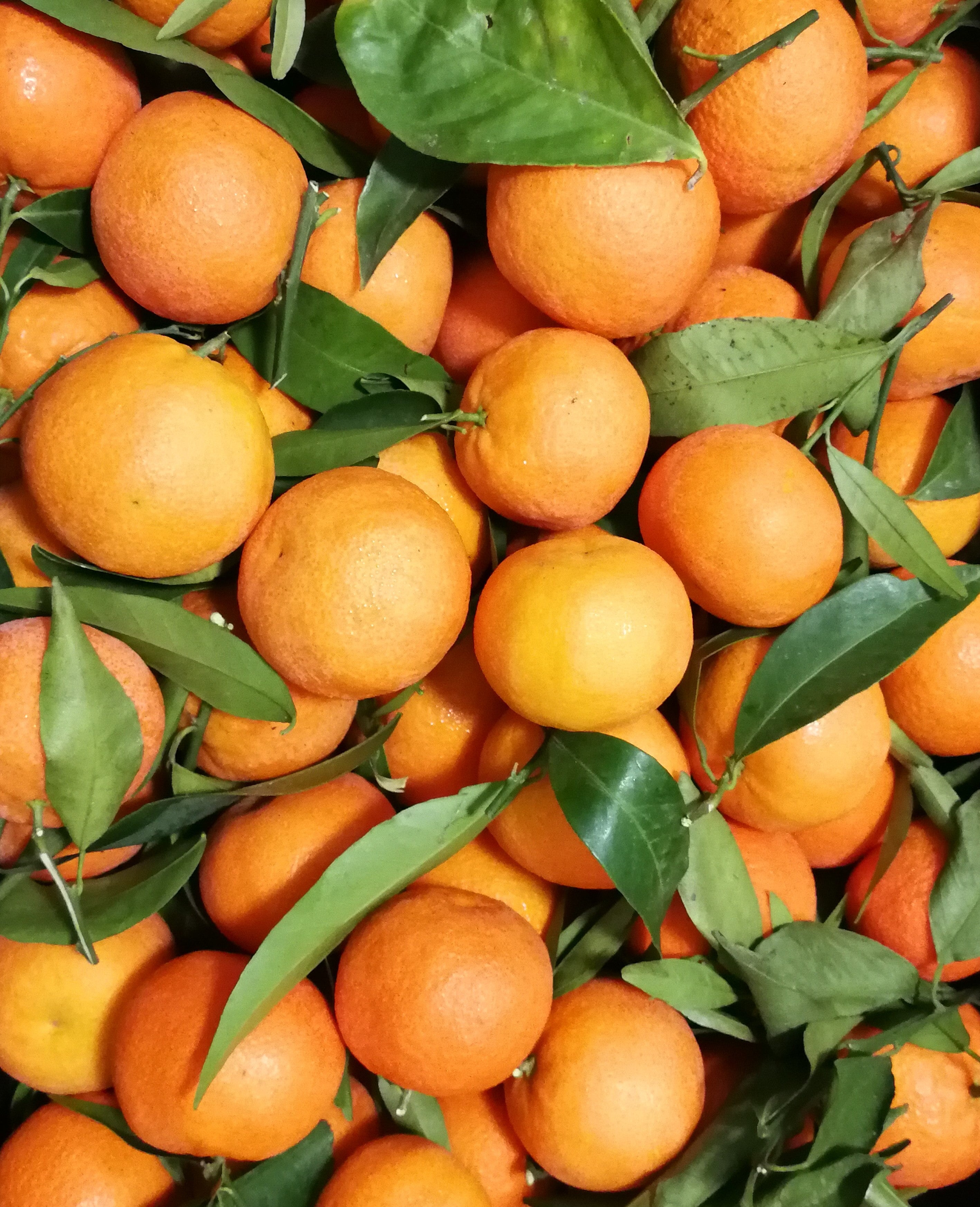 Clementines 1kg