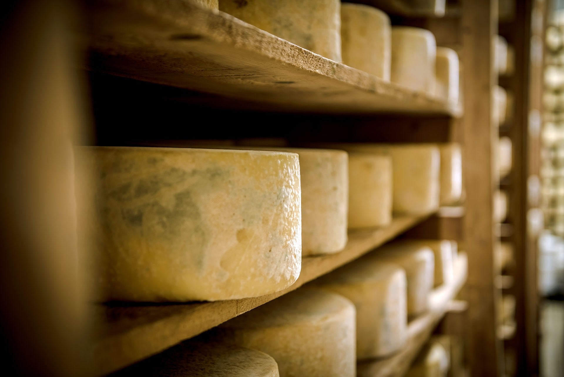 Kefalotyri Cheese from Naxos 3 kg