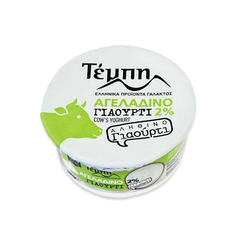 Tempi Greek Yogurt 2% 500g