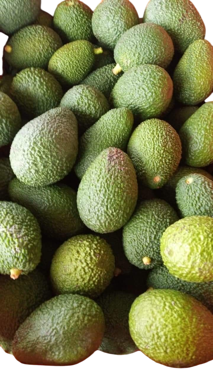Hass avocado from Crete 1kg