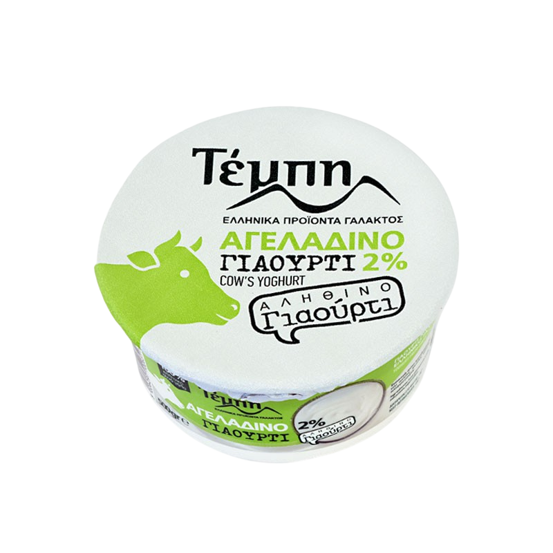 Tempi Greek Yogurt 2% 500g