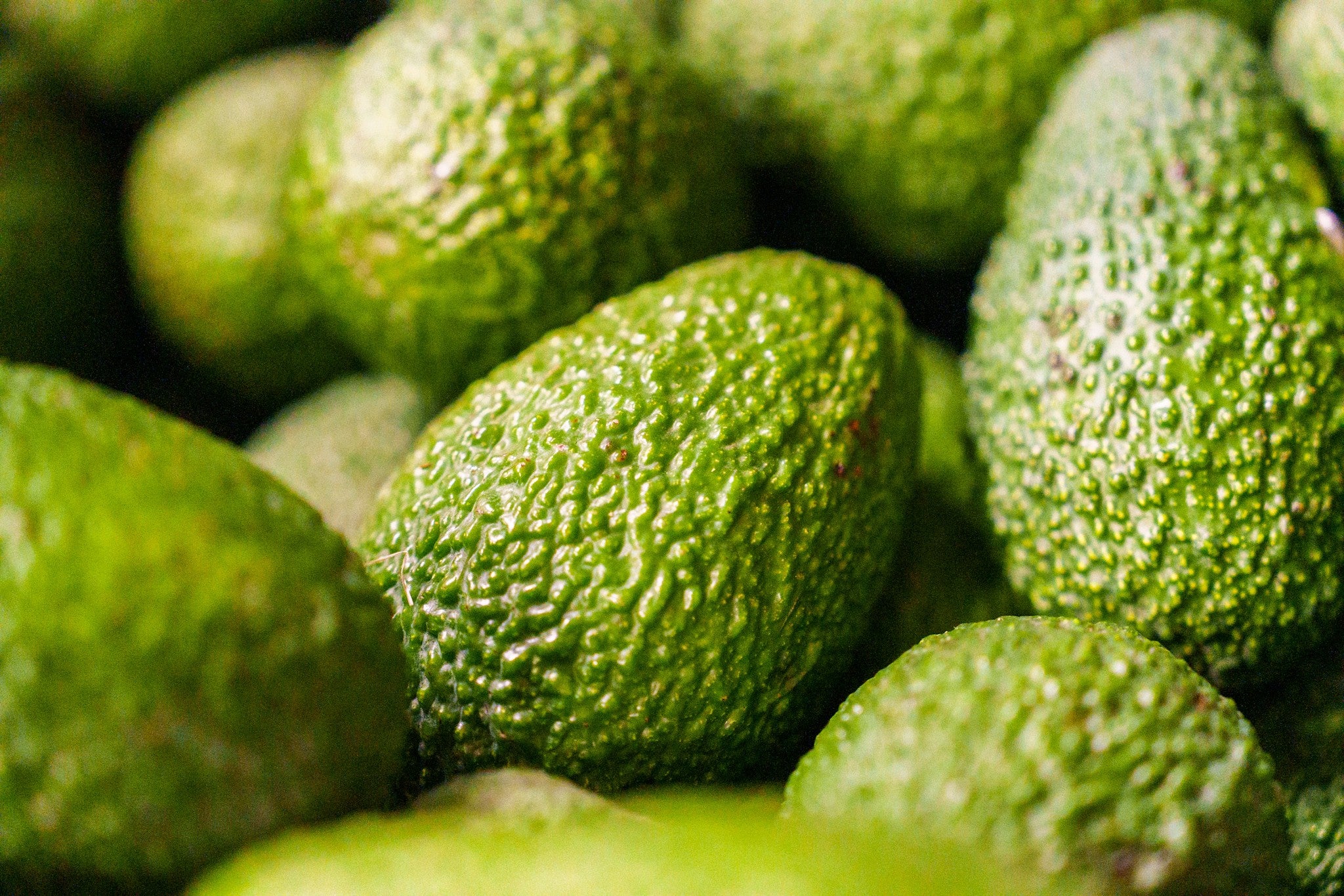Hass avocado from Crete 1kg